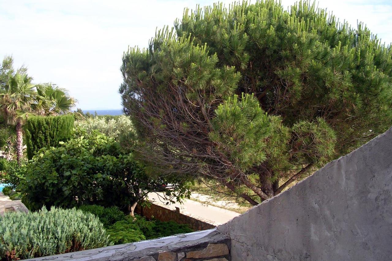 With A Parking Space - Torovi - - Pedinka, - 294 * Vir